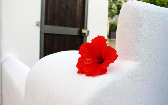 One bedroom appartement with wifi at Cinisi