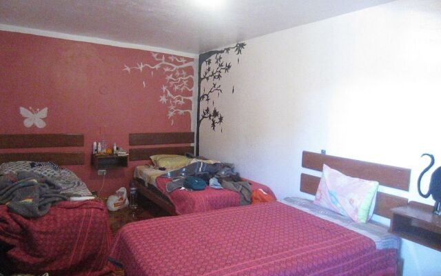 Vacahouse 2 Eco-Hostel