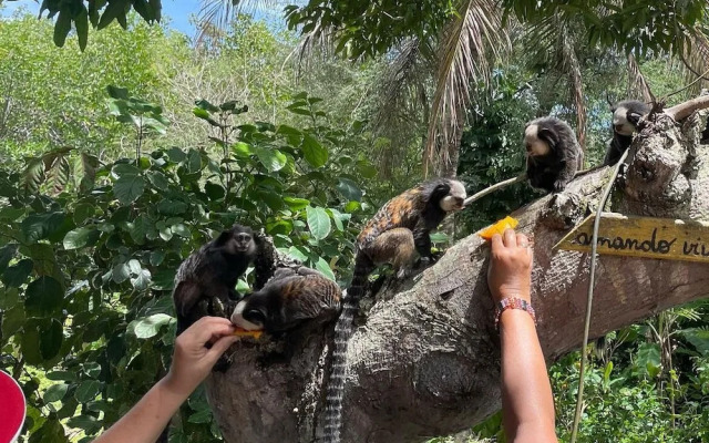 Pousada Arraial Dos Sonhos