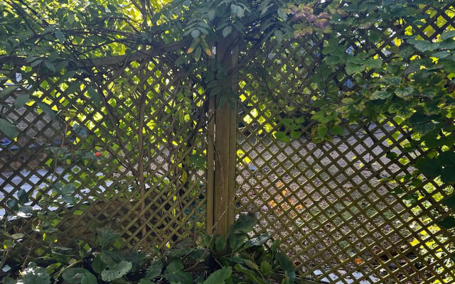 Byways Serviced Apartments