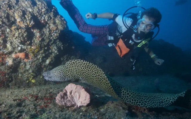 Sentidos Beach Retreat - Design Hotels