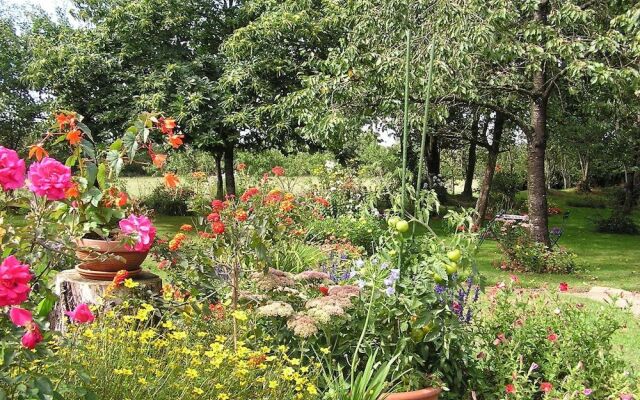 Cabane dans les Arbres - Tree House