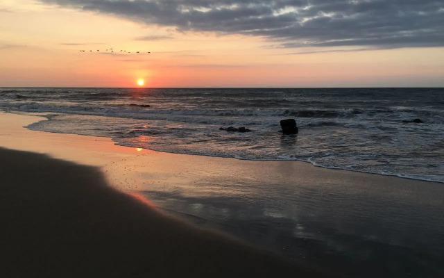 Peru Hosting De Punta Sal