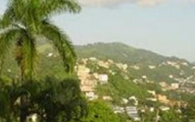 Hill Top Kingston Jamaica Bed & Breakfast