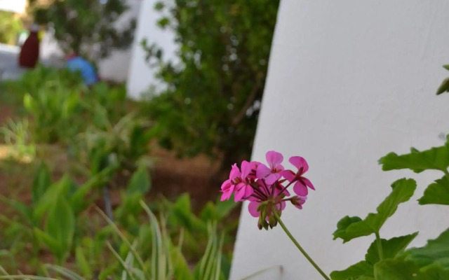 Hotel Palladion