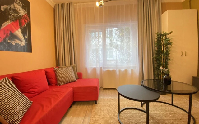 Lovely Home With Backyard in Cihangir