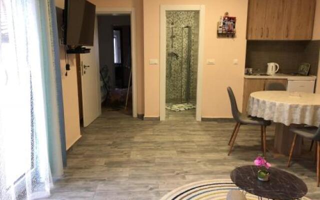 Apartment Piko