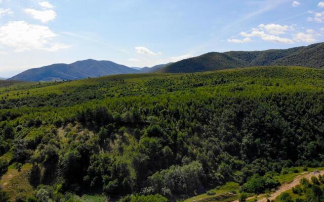 Pensiunea Darian & David