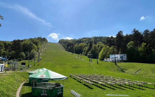 Golden Fox Apartment Pohorje