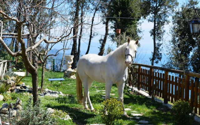 B&B Miramare
