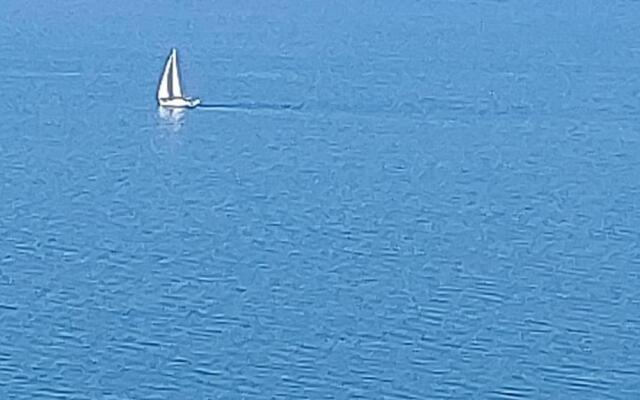 SEA-VIEW Beluga & Dolphin Luxury HOTEL apartments