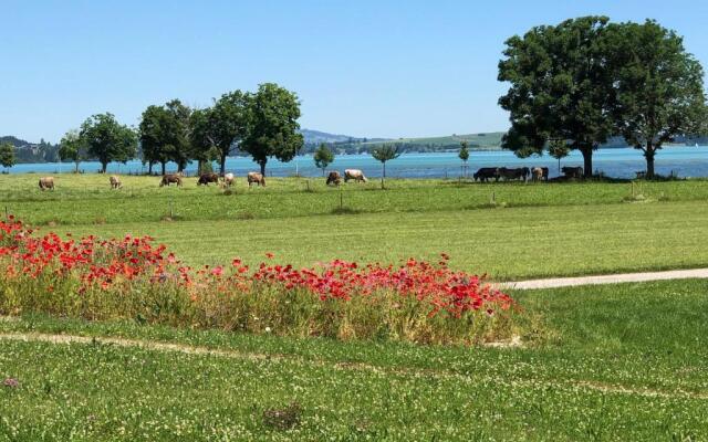 Alpenglück de Luxe Ferienwohnung am Forggensee