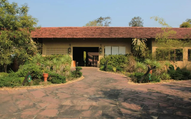 The Celebration Van Vilas