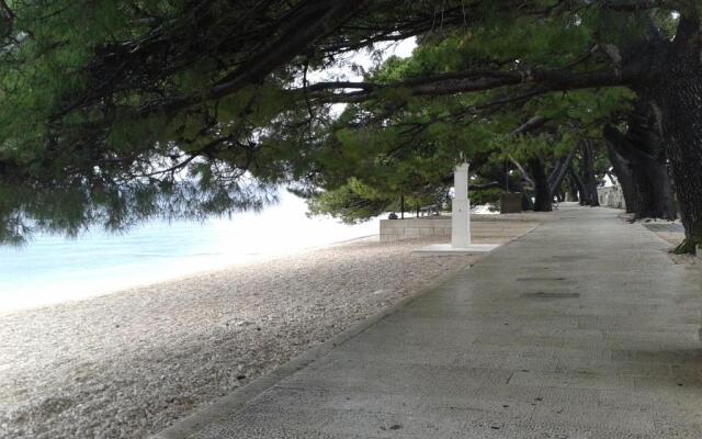 Studio ground floor with terace