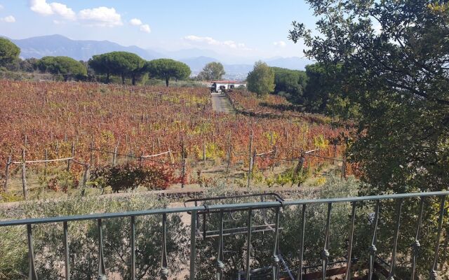 Room-apartment Pompeii Rendine