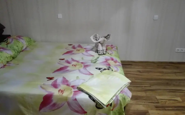 Апартаменты в центре на Ленина, 30