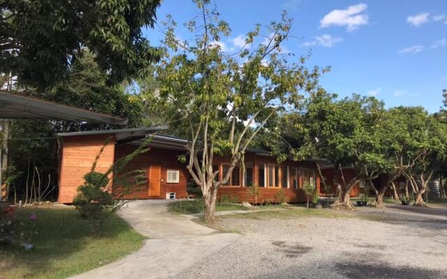 Inn By Tree
