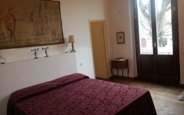 Little Garden Donatello