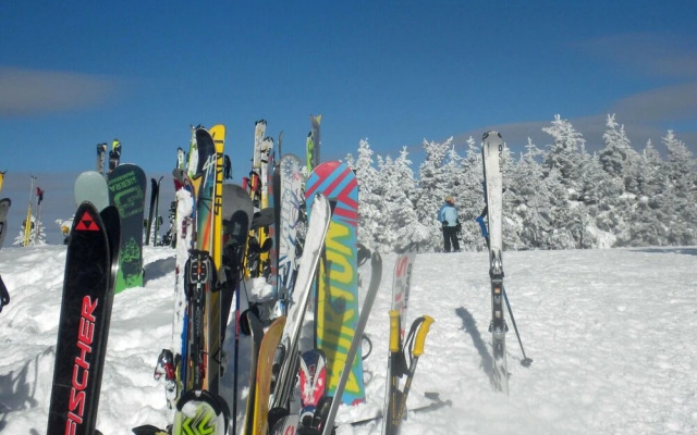 Loggers Run Lane by Casago