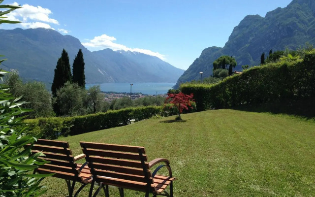Verde E Panorama