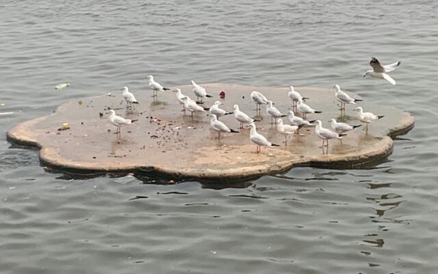 Hotel Rajyashree Palace