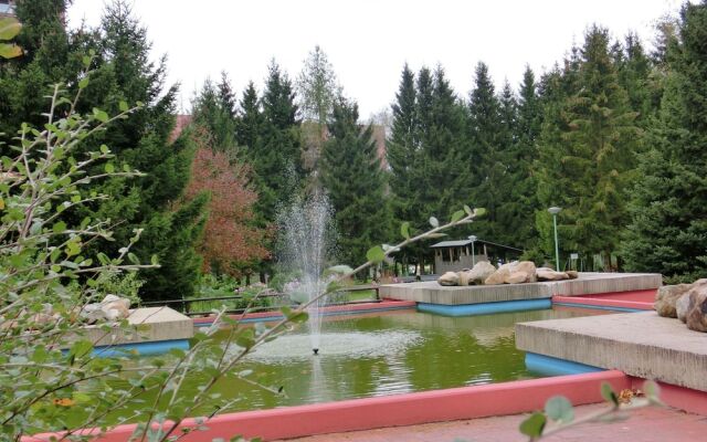 Cozy Apartment in Altenau Harz near Ski Area Hahnenklee