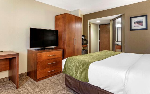 Comfort Inn & Suites Albuquerque Downtown