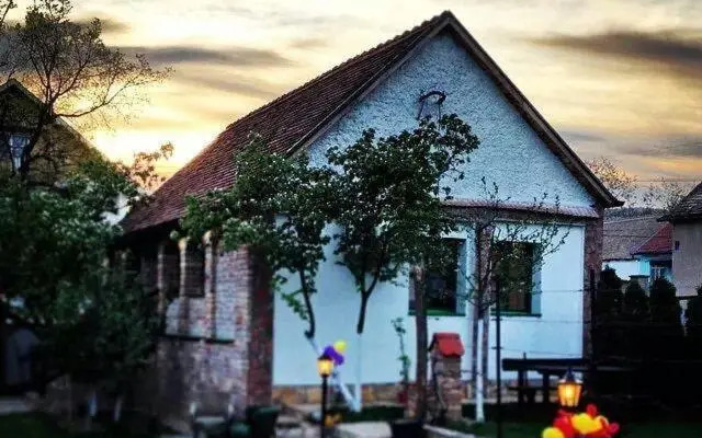 Apartment Ilkićev kućerak