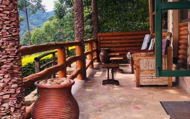 Bwindi Forest Lodge