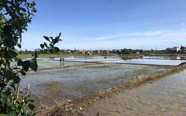 Bali Eco Living Yoga Healing Meditation and Retreat Center