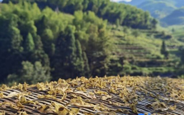 Yungu Shanfang Hostel