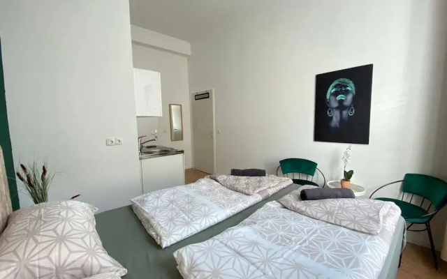 Spacious 8BR Apt with Terrace 16P