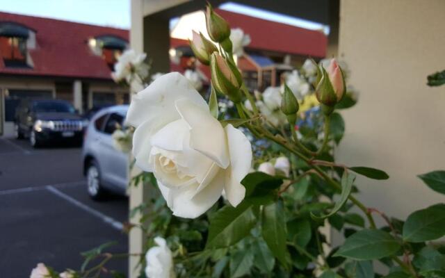 Rose City Motel