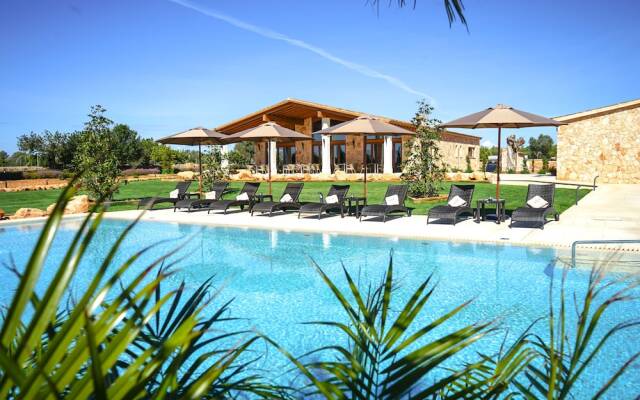 VMG Horse Ranch