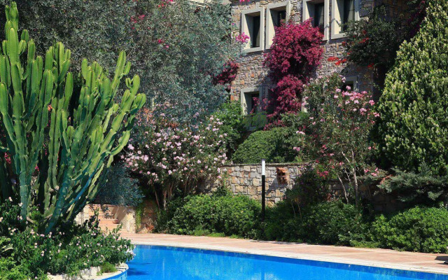 Hotel Zeytinada