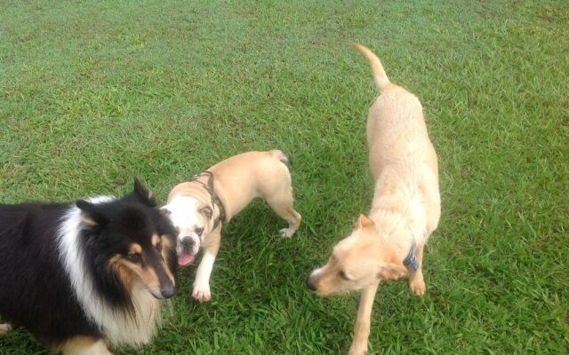 Lagoon Pocket Bed & Breakfast