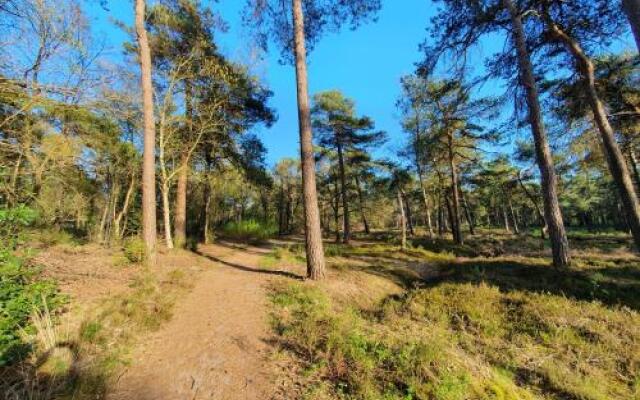 Natuurpark De Witte Bergen