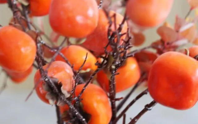 Tianjin Yishanshui Homestay