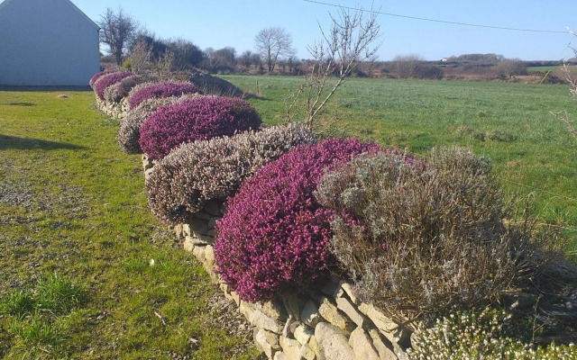 Murphys Irish Farmhouse