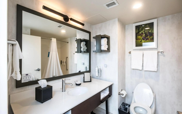 Hampton Inn and Suites Dobson