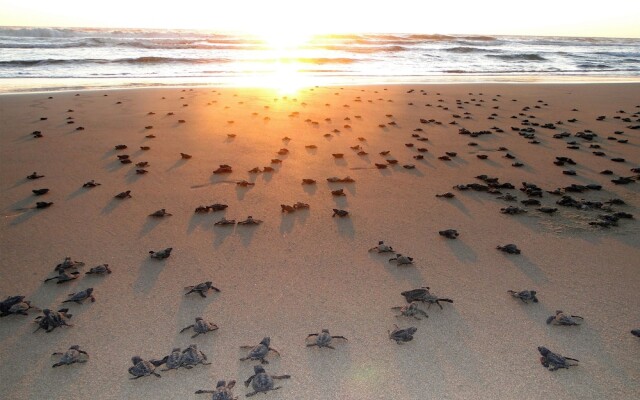 Estrella del Mar Luxury Suites