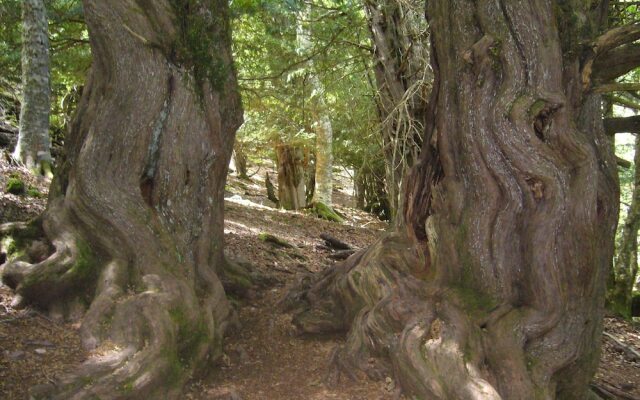 La Venta del Alma II - El Apartamento