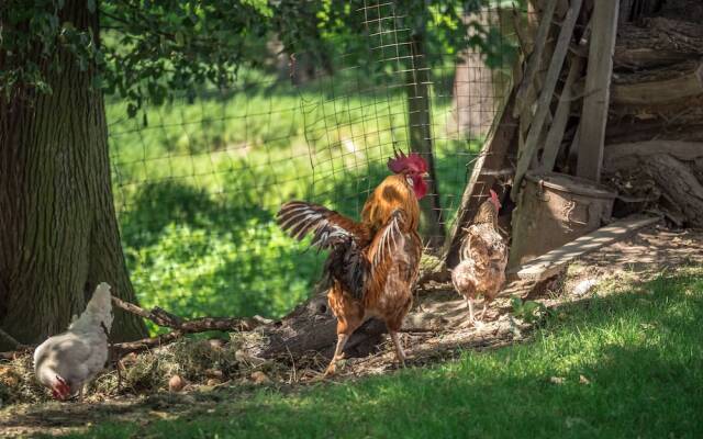 Landhotel Zur Guten Einkehr