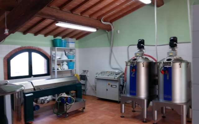 Agriturismo Il Colle
