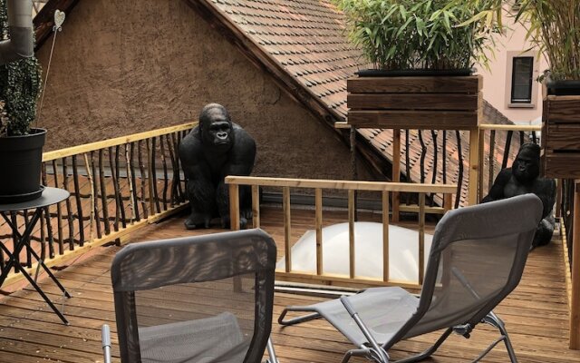 Les Appartements d'Alicia Obernai