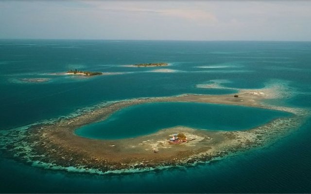 Bird Island Placencia