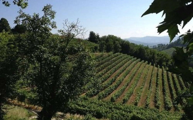 Agriturismo Costa dei Platani