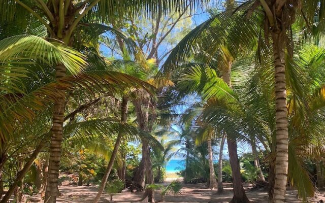 Casa Airam Beachfront Villa in Sian Kaan