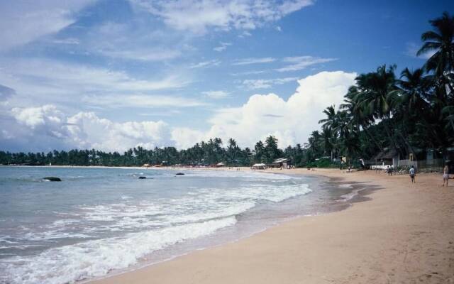 Surf Sea Breeze