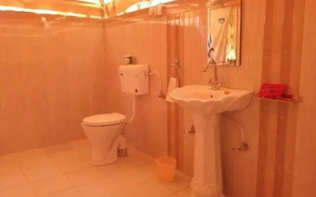 The Tiger Hill Sariska